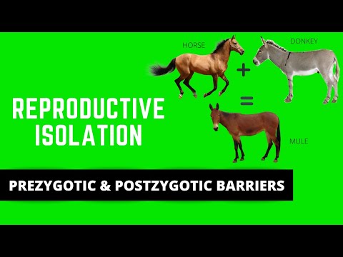 REPRODUCTIVE ISOLATION (PREZYGOTIC & POSTZYGOTIC BARRIERS)/ SPECIATION