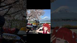 #富士山 #桜 #河口湖 #ツーリング #モンキー125 #モトブログ #insta360