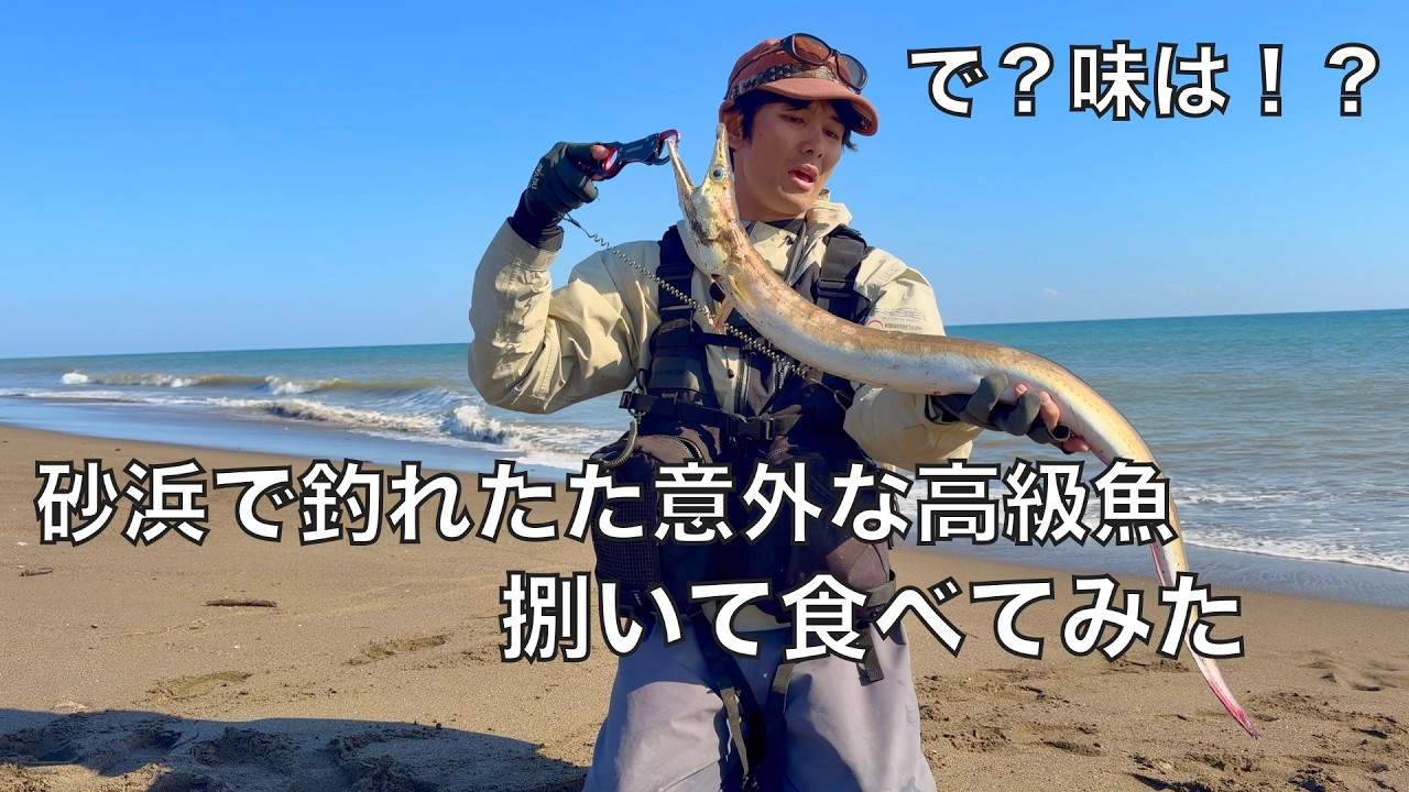 サーフフィッシング史上最高の珍魚を釣り上げたので食べてみたら‥