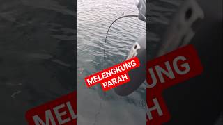 Download lagu Baru sampai dasar joran melengkung tajam mp3