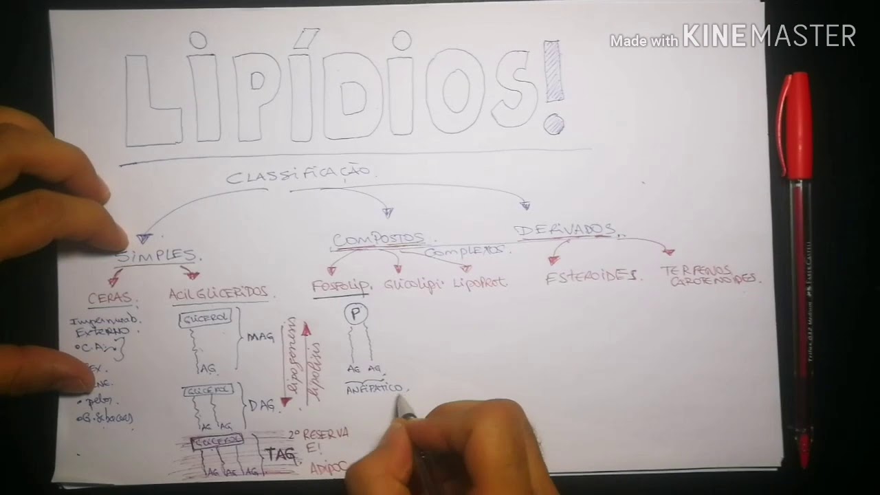LIPÍDIOS - CLASSIFICAÇÃO