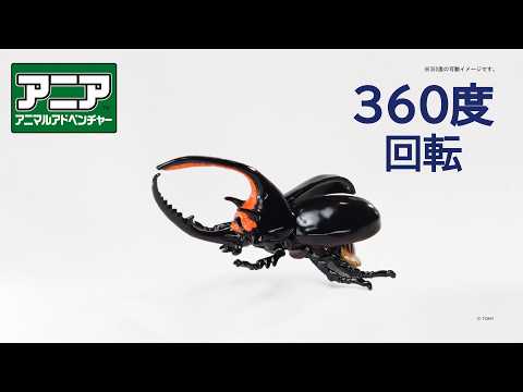 【公式】アニア360度回転動画　「AL-39　ネプチューンオオカブト」