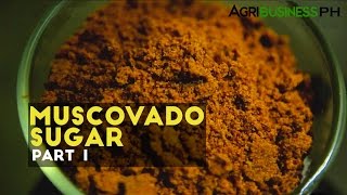 Muscovado sugar processing in the Philippines : Muscovado sugar Part 1 #Agribusiness