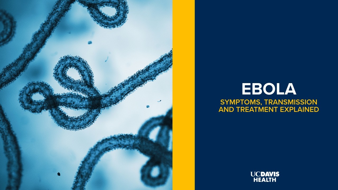 Thumbnail preview of Ebola Explained: How It Spreads, Fatality Risk, and What the Public Should Know