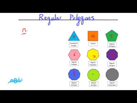 Similarity of Polygons - الرياضيات لغات - الصف الأول الثانوي - نفهم