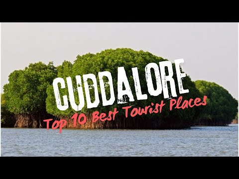 Cuddalore | Top 10 Best Tourist Places In Cuddalore District | Cuddalore Travel Guide | Tamil Nadu