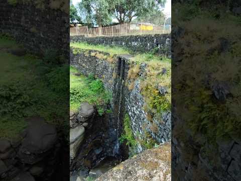 मांडव ❤️🌿#shortvideo #shorts #nature #virslshorts @Vinnu.vanshu