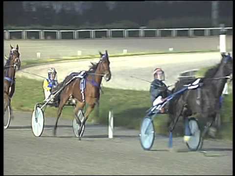 Trotto 05/01/2016 - 5° corsa