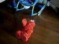 Tickle Me Elmo TMX Brazil Portuguese Elmo Cosquinha