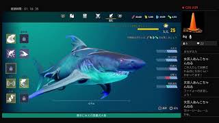 ＃人食いサメ