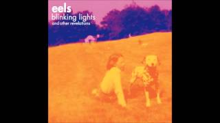 Eels - &quot;Railroad Man&quot; (Blinking Lights and Other Revelations) HQ