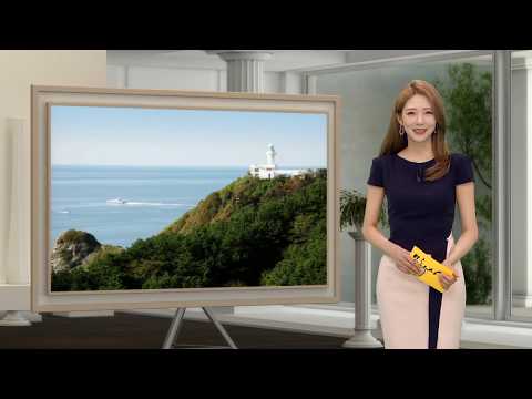 이진 아나운서 2019 08 08