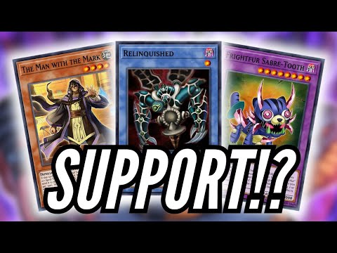 SUPPORT für DIESE Yu-Gi-Oh! Decks!?