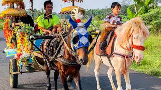 Download lagu NAIK DELMAN ISTIMEWA | HORSE | KUDA DELMAN - KUDA mp3