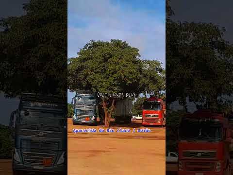 Aparecida do rio claro /  Goiás