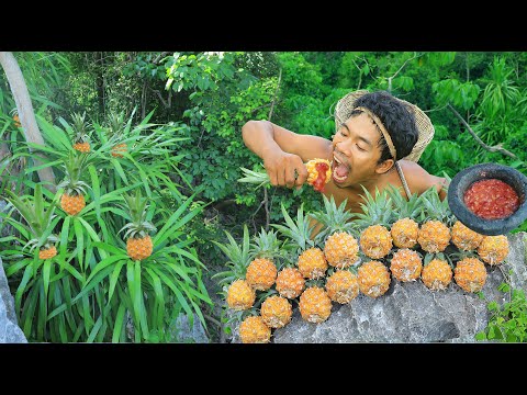 Find Fruits are food - Rich fruits at up the hill - Lots of pineapple in the mountain