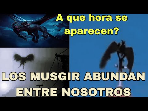 INCREÍBLE!!! Esta RAZA EXTRATERRESTRE se esconde en las dimensiones "inferiores"