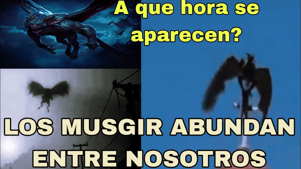 INCREÍBLE!!! Esta RAZA EXTRATERRESTRE se esconde en las dimensiones "inferiores"
