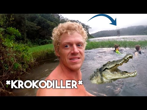 Svømmer ud til tårn i vulkansk krokodille sø