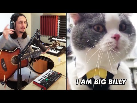 The Kiffness - Big Billy (Singing Cat) [FULL Version]