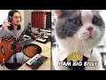 The Kiffness - Big Billy (Singing Cat) [FULL Version]