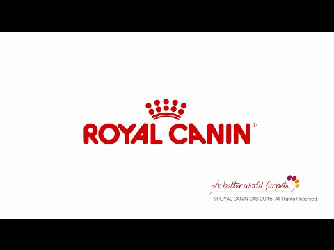 Royal Canin Sensible 10kg video