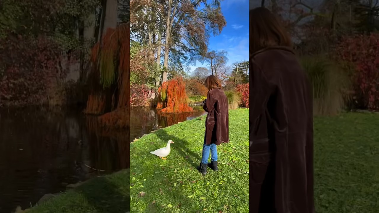 YouTube Short thumbnail