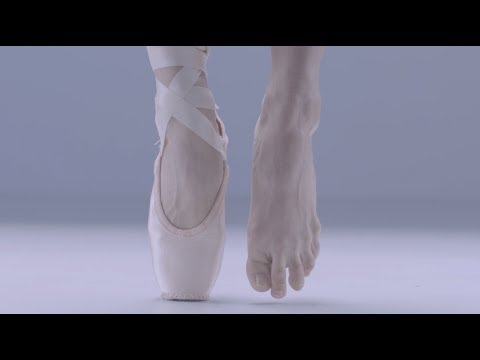 バレエの解剖学。足