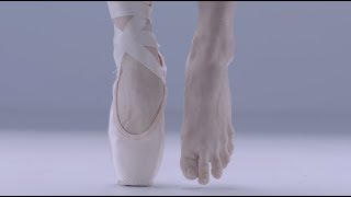 Ballet Anatomy: Feet