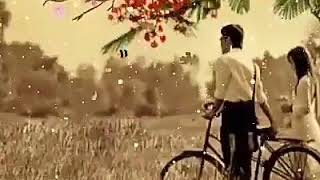 Download lagu Ah _ Elvy Sukaesih mp3