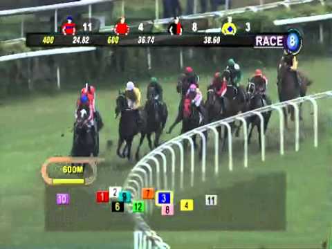 SINGAPORE RACE 05/01/2014 RACE 8 - iAgencyNet.com