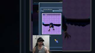 TOP 13 PETS BLESSING OF LUCK PET BOX #grandchaseclassic