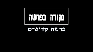 נקודה בפרשה: קדושים - איך ה' מצפה מאיתנו להיות קדושים כמהו?