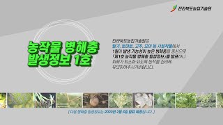 2020년 농작물 병해충 발생정보 1호 발표