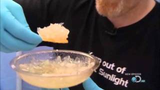 Mythbusters Double Dipping