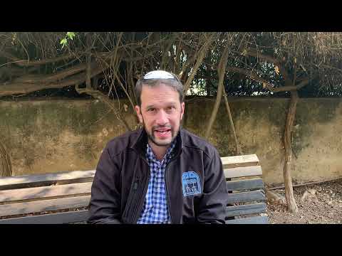 For the birthday of the 8th potential rebbe