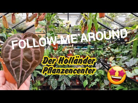 Follow Me Around 💚 | Der Holländer Am Olympiastadion 🌱 | Umbau + viele neue Raritäten 🤩