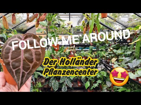 Follow Me Around ???? | Der Holländer Am Olympiastadion ???? | Umbau + viele neue Raritäten ????