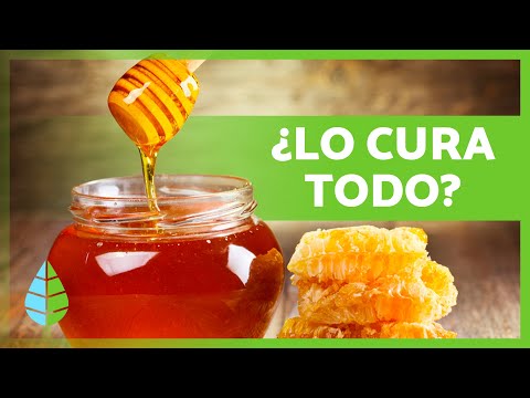8 Increíbles BENEFICIOS de la MIEL 🍯✅ ¿Qué Pasa si Tomas MIEL Cada Mañana?