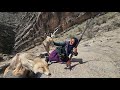 Oh May God Esmat S Journey A Stunning Encounter With A Fox In The Heart Of Zagros