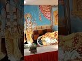 Krishn Paksh Ki Ashtmi Viral Krishna Shorts
