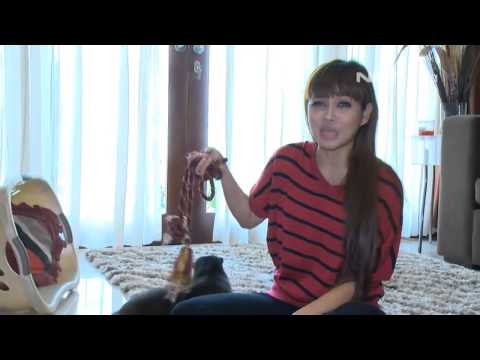 Terry Putri: Berita, Foto, Video, Lirik Lagu, Profil & Bio 