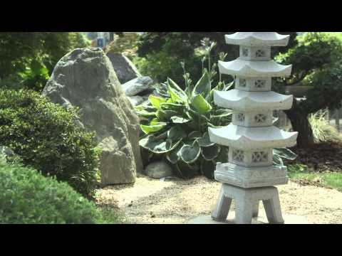 Filmporträt Schinznach Dorf