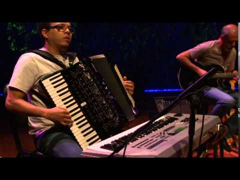 Catadô De Bromélias - Zé Geraldo