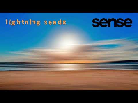 The Lightning Seeds - Sense