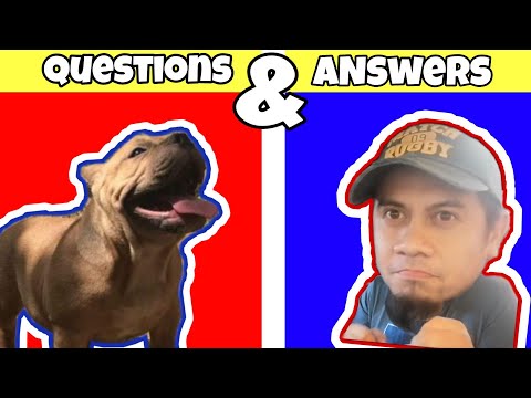 Best Vitamins ||secrets revealed for Appetite, Kibble, Raw Feeding, Pregnancy etc... ||KaRawpapips