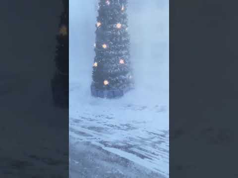 Упала Новогодняя Елка