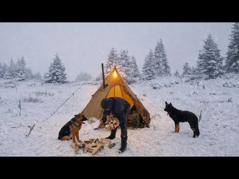 Überleben im Schneesturm auf 1847 m mit meinen Hunden | Hot-Tent Wintercamping
