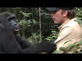 Setkani s gorilou (Tearon) - Známka: 1, váha: velká