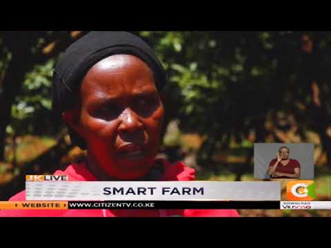 download lagu mp3 mp4 Types Of Avocado In Kenya, download lagu Types Of Avocado In Kenya gratis, unduh video klip Types Of Avocado In Kenya
